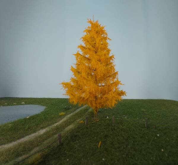 Larch late fall Profiline